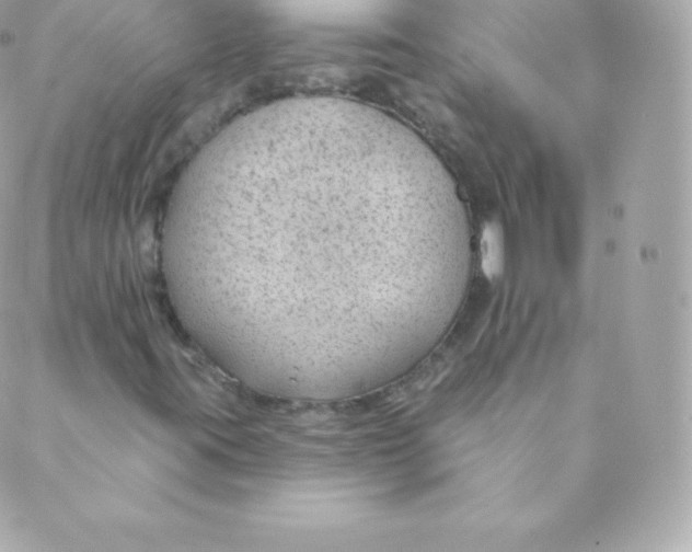 X0000088611395200706151815