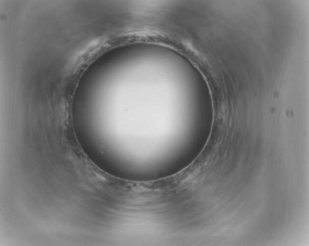 X0000088611398200706151815