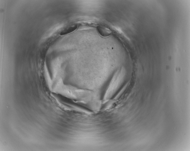 X0000088611399200706151815