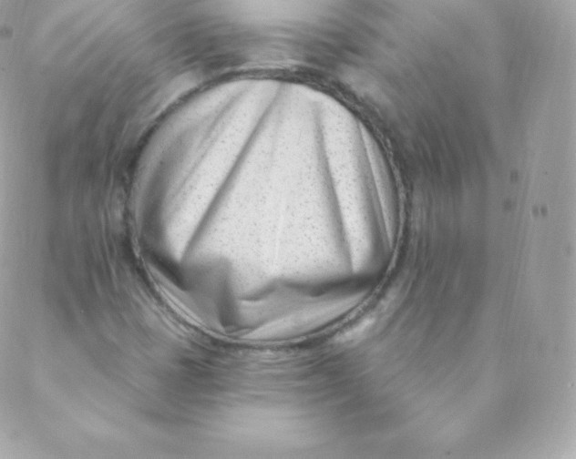 X0000088611401200706151815