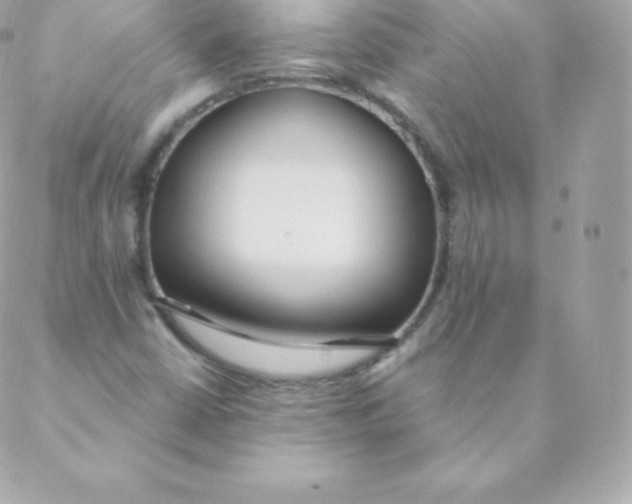 X0000088611402200706151815