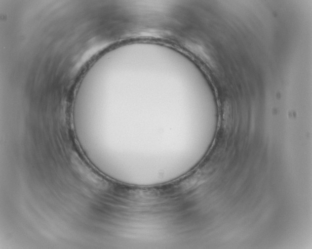 X0000088611404200706151815