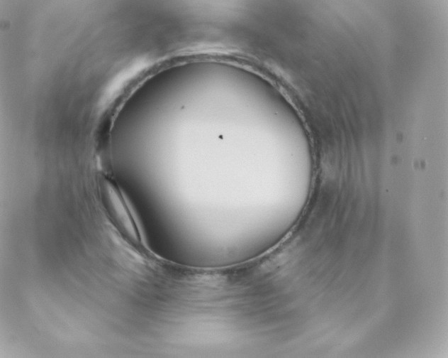 X0000088611406200706151815