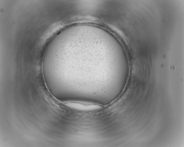 X0000088611407200706151815