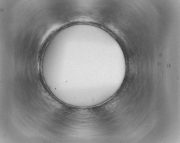 X0000088611408200706151815