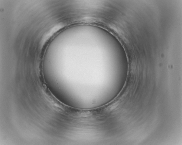 X0000088611410200706151815