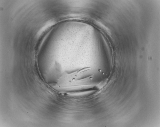 X0000088611411200706151815