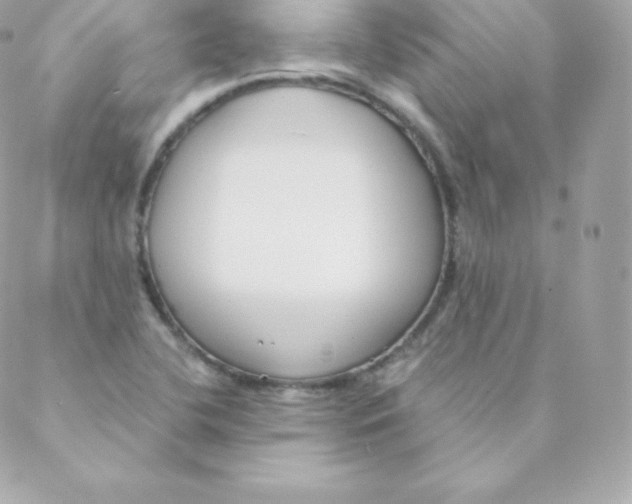 X0000088611412200706151815