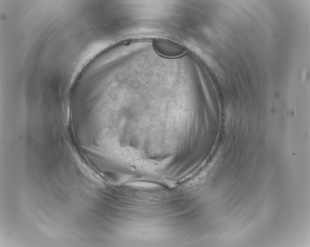 X0000088611413200706151815