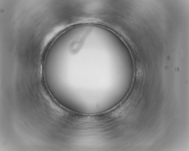 X0000088611414200706151815