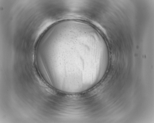 X0000088611415200706151815