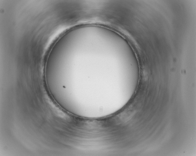 X0000088611416200706151815