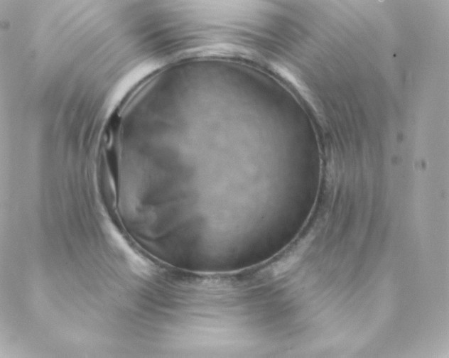 X0000088611418200706151815