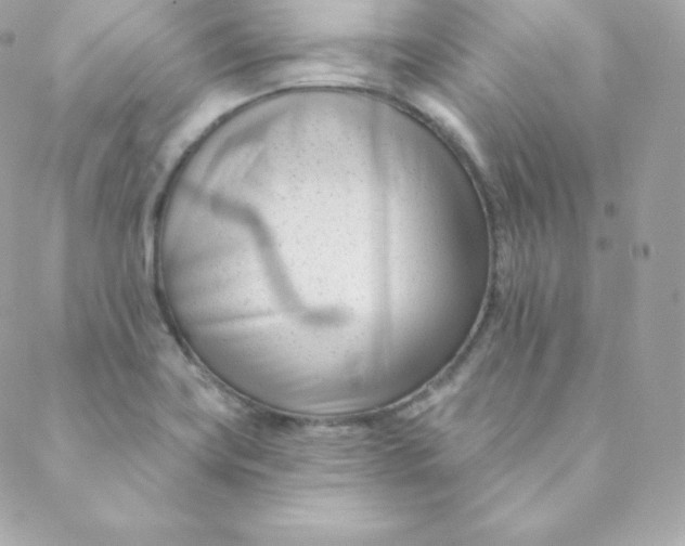 X0000088611419200706151815