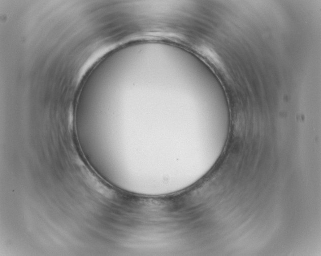 X0000088611420200706151815