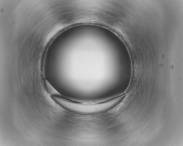 X0000088611422200706151815