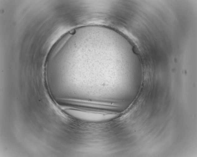 X0000088611423200706151815