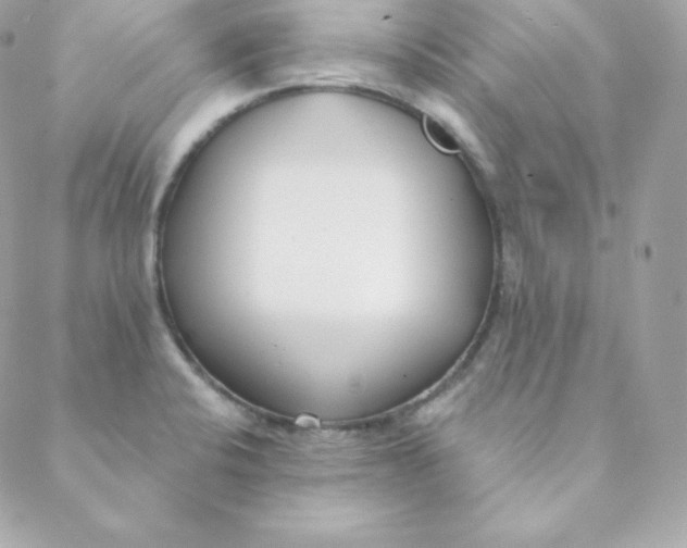 X0000088611424200706151815