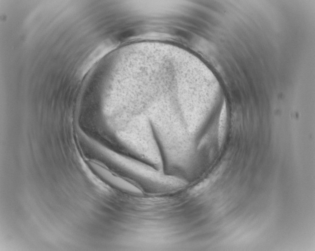 X0000088611425200706151815