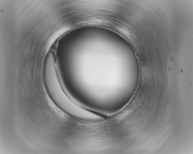 X0000088611426200706151815