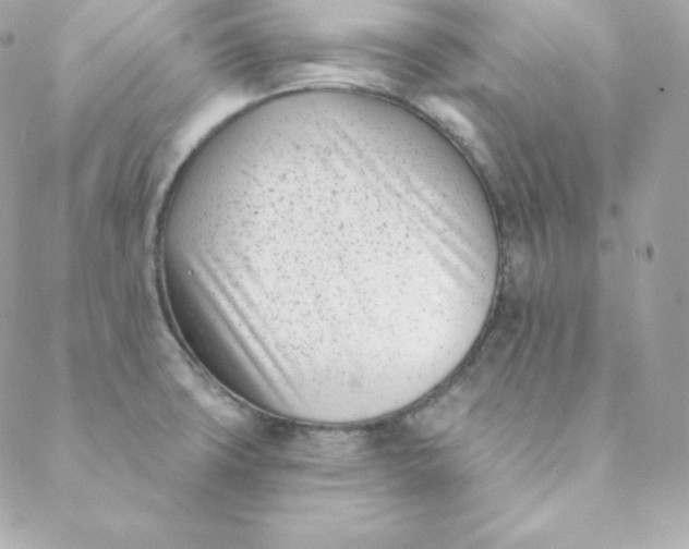 X0000088611427200706151815