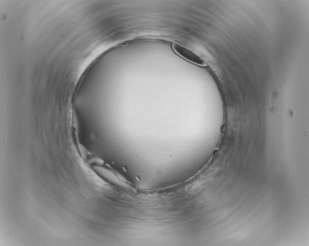 X0000088611428200706151815