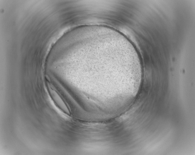 X0000088611429200706151816