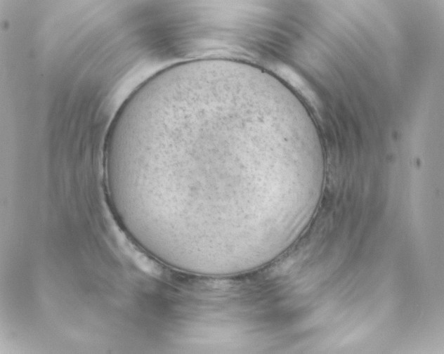 X0000088611431200706151816