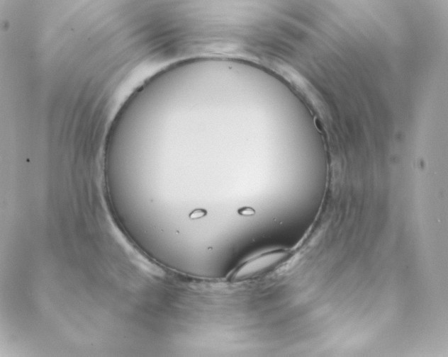 X0000088611432200706151816