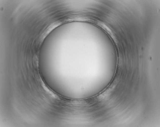 X0000088611433200706151816