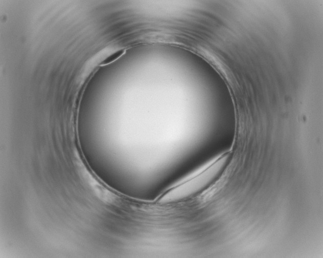 X0000088611434200706151816