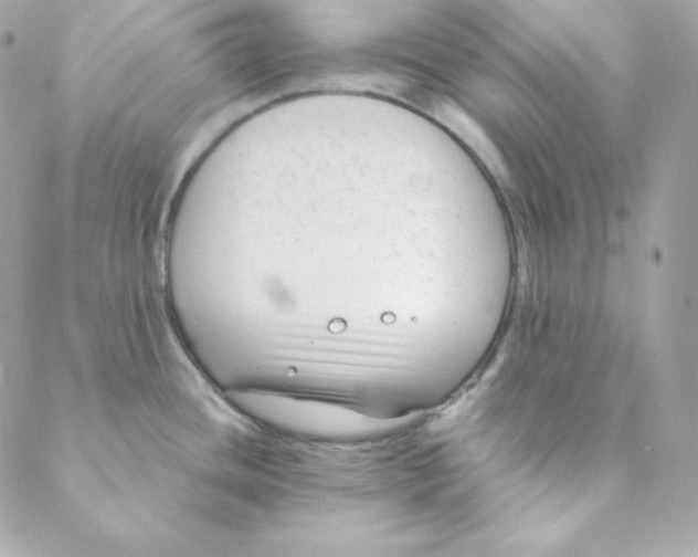 X0000088611436200706151816