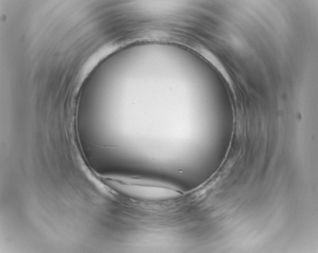 X0000088611437200706151816