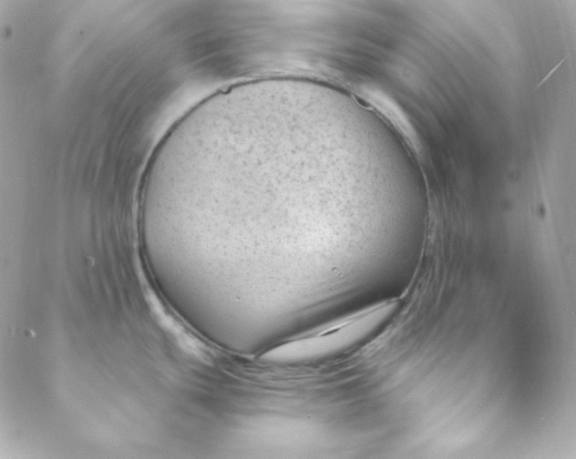 X0000088611439200706151816