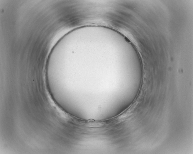 X0000088611440200706151816