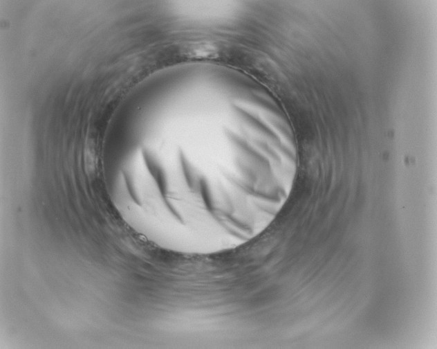 X0000088611442200706151815