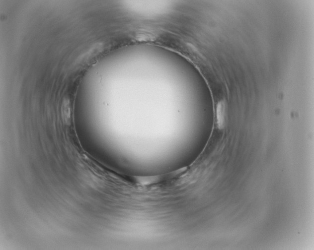 X0000088611443200706151815