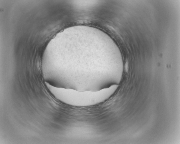 X0000088611444200706151815