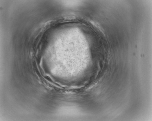 X0000088611445200706151815