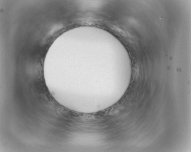 X0000088611446200706151815