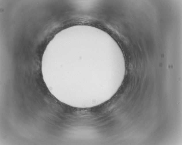 X0000088611447200706151815