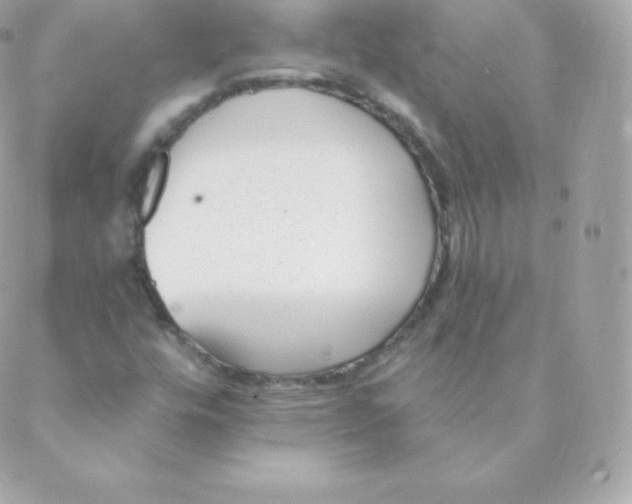 X0000088611448200706151815