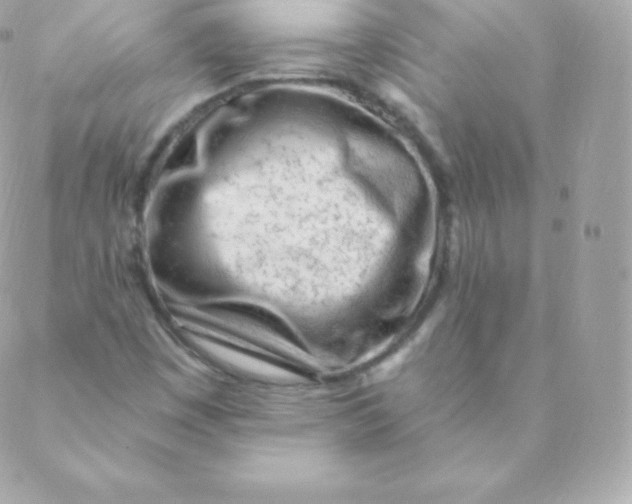 X0000088611449200706151815