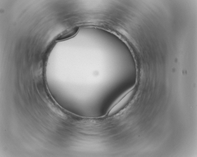 X0000088611450200706151815