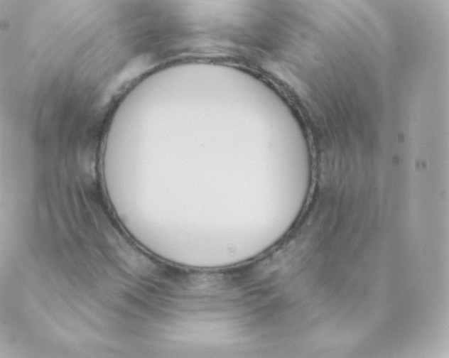 X0000088611451200706151815