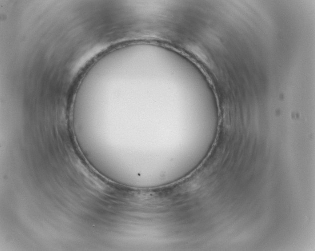 X0000088611452200706151815