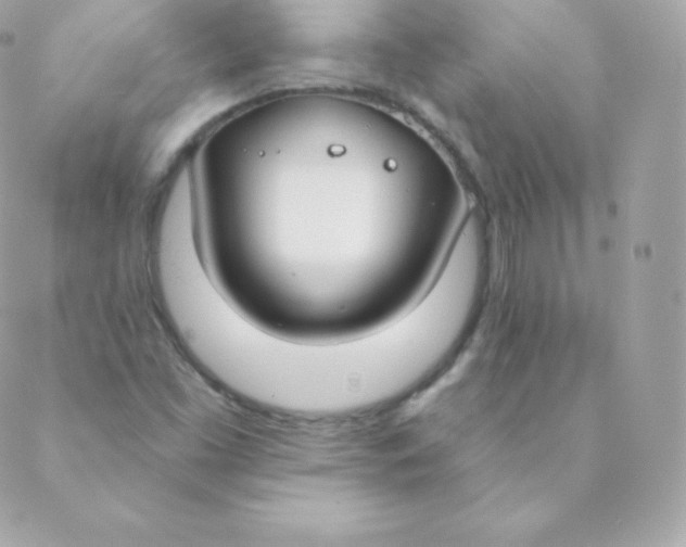 X0000088611453200706151815