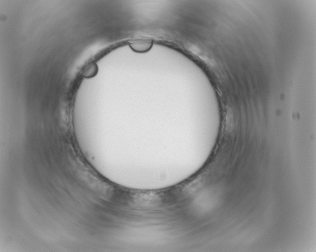 X0000088611454200706151815