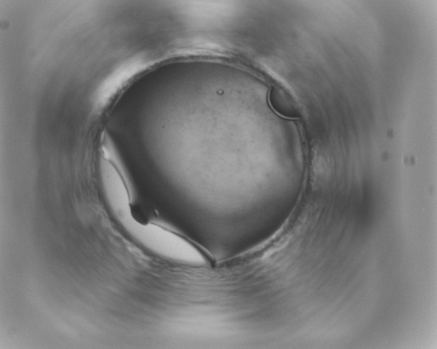 X0000088611455200706151815