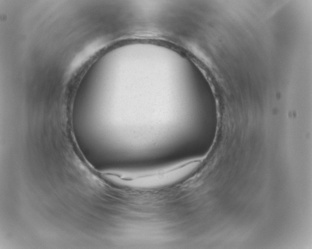 X0000088611456200706151815